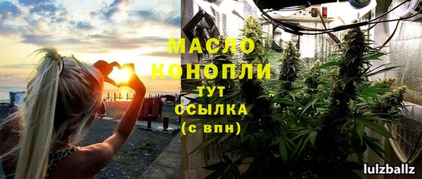 сатива Елизово