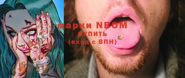 сатива Елизово