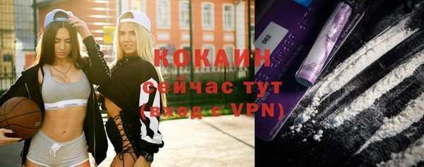 сатива Елизово