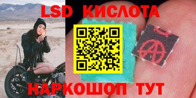 тгк Бийск