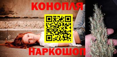 тгк Бийск