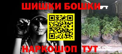 тгк Бийск