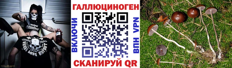 Псилоцибиновые грибы мухоморы  ОМГ ОМГ tor  Боровичи 