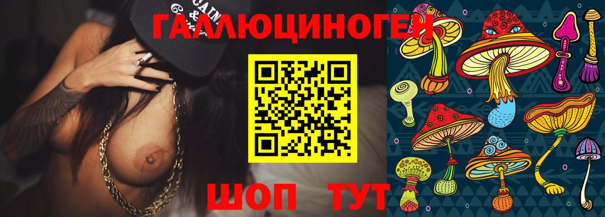 Боровичи  Псилоцибиновые грибы Psilocybe  Галлюциногенные грибы Magic Shrooms  Вход с VPN 