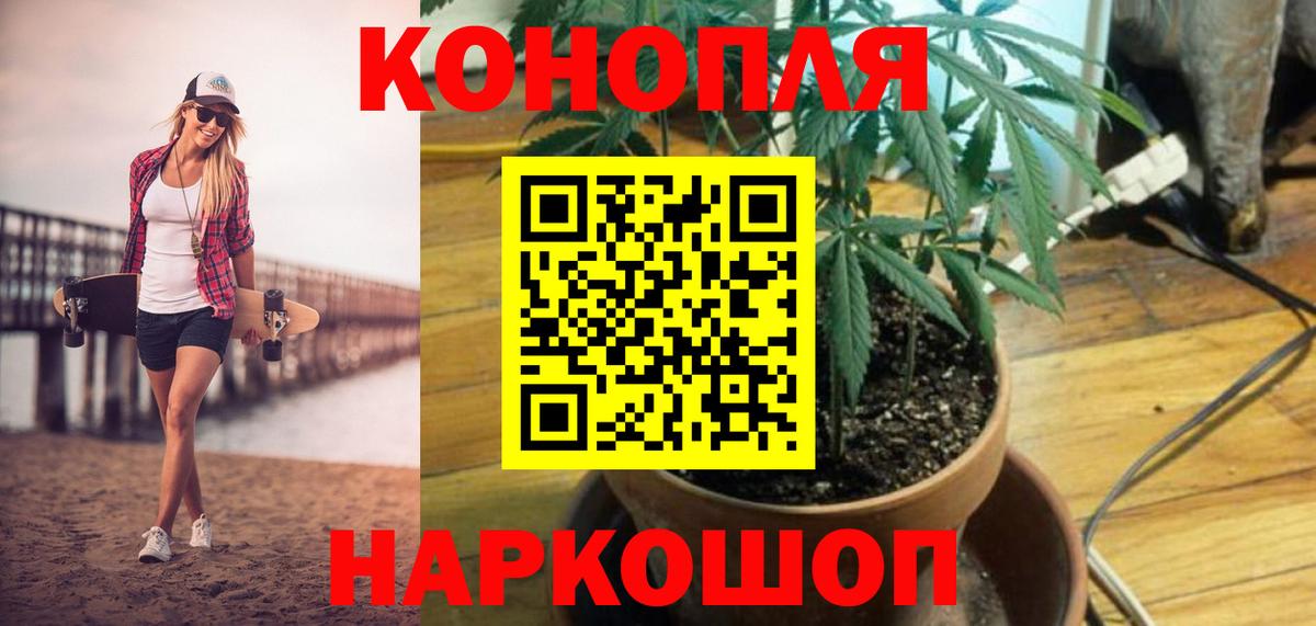 Бошки Шишки план Боровичи
